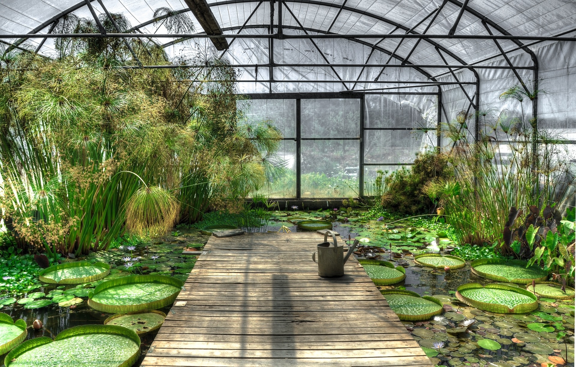 Large Greenhouse Construction