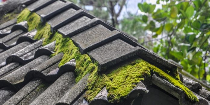 How to Remove Moss from Roof Tiles Cosmopolit Home How to Remove Moss from Roof Tiles Cosmopolit Home