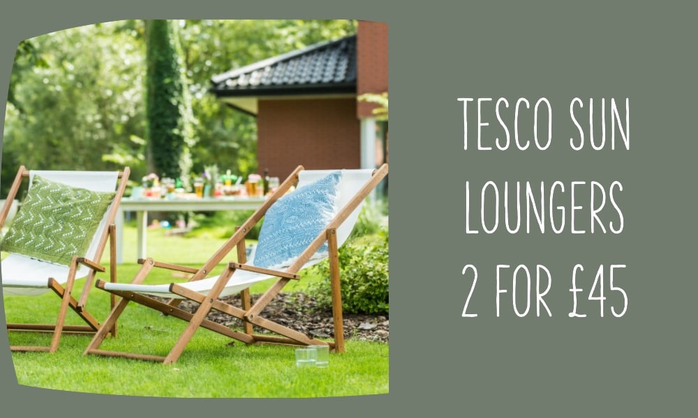 tesco sun loungers 2 for £45