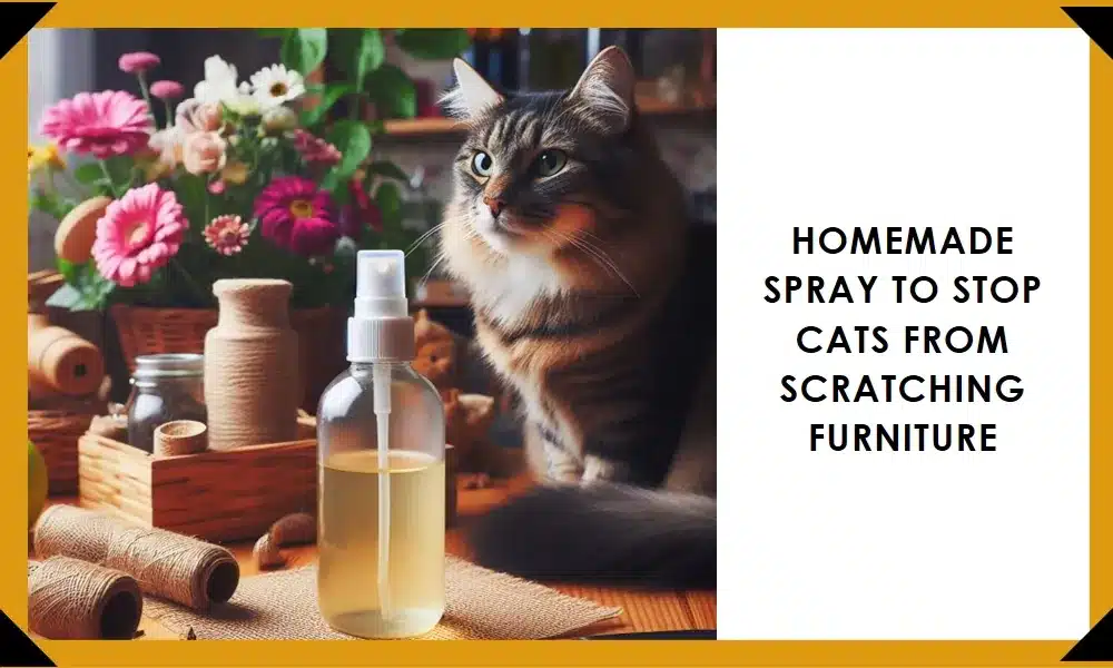 homemade spray to stop cats from scratching furniture