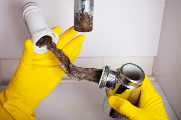 professional plumber